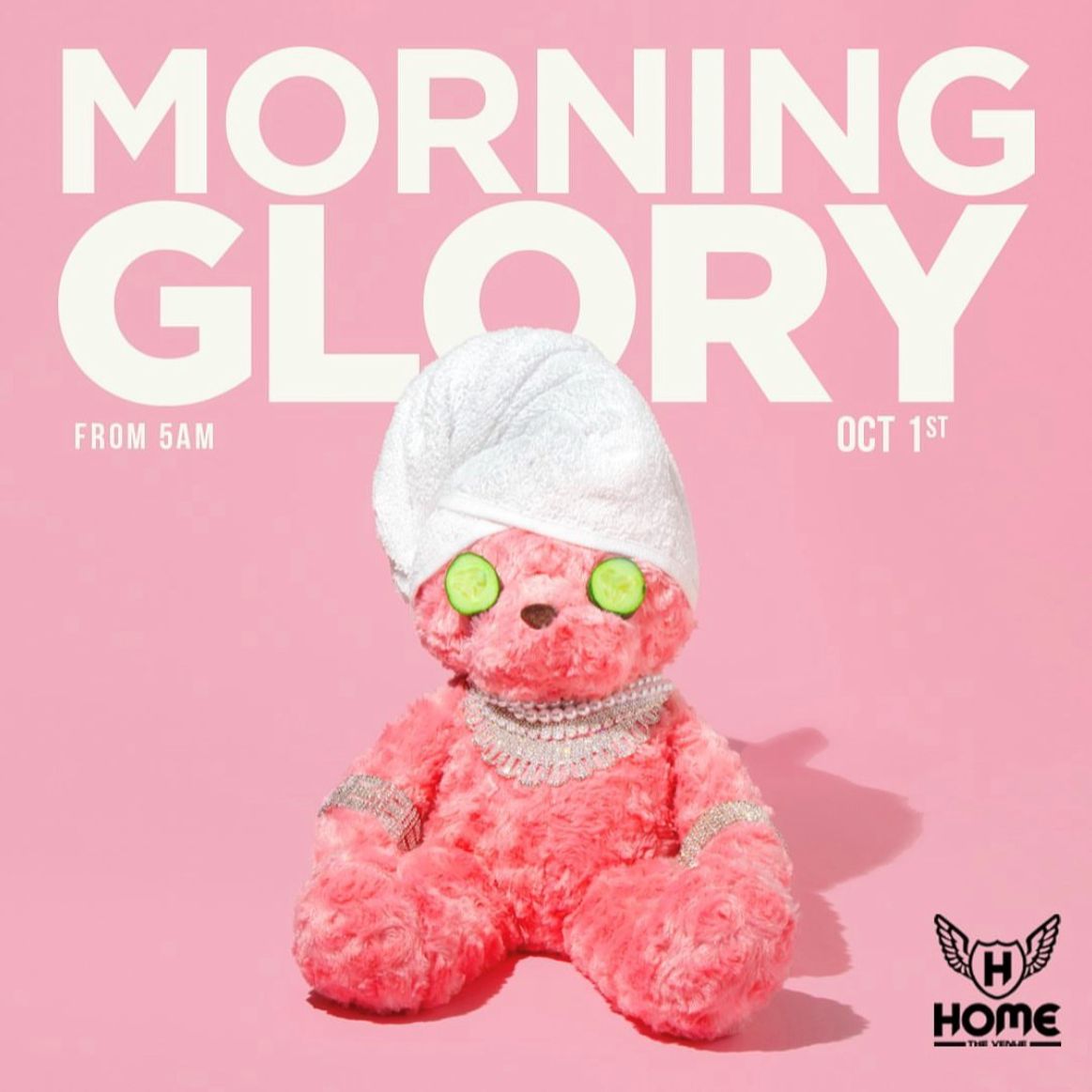 Morning Glory 